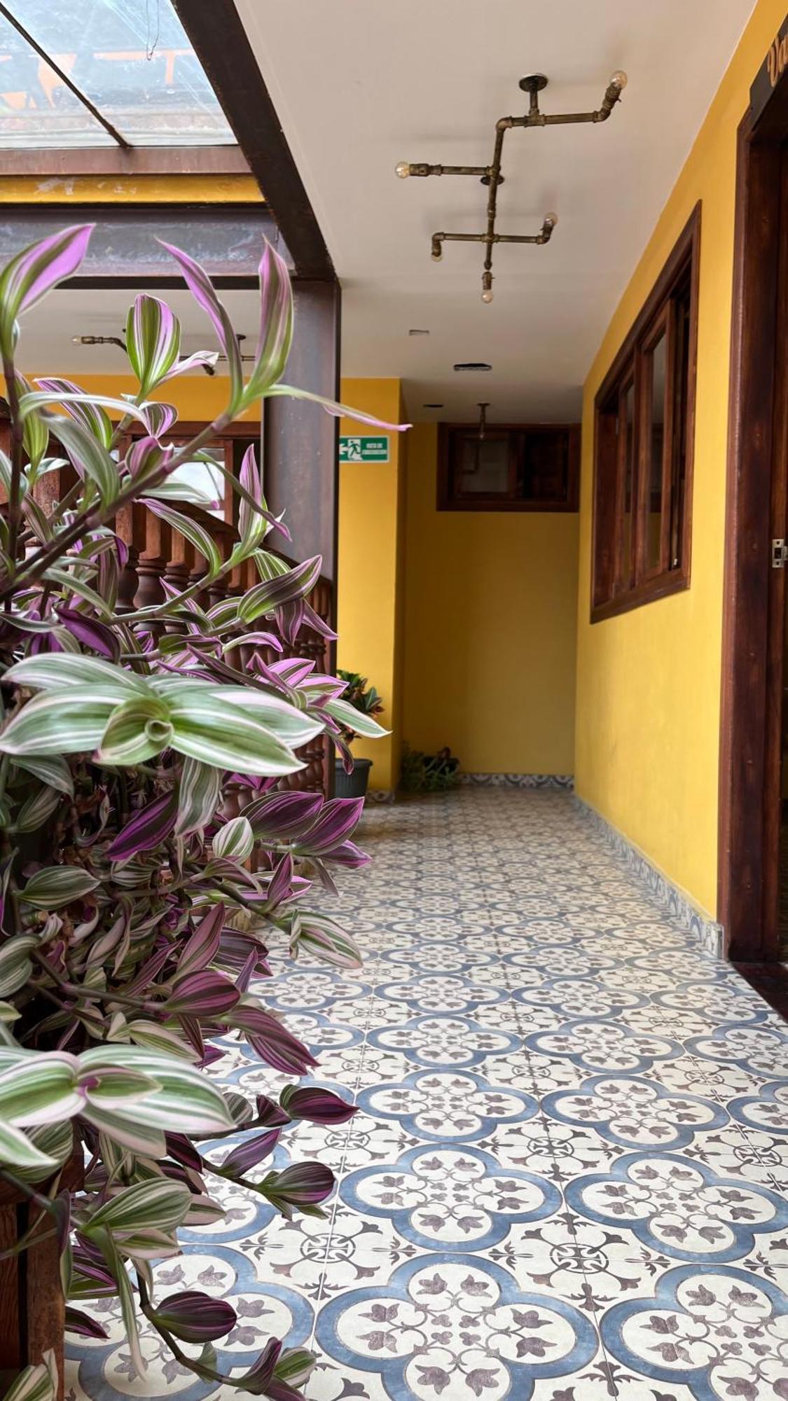Hostal Casa Astromelia Bogotá Extérieur photo
